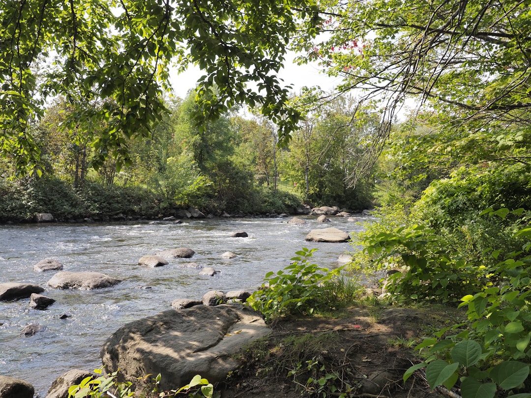 De rivier in Rotterdam: water, bruggen en de stad verbonden