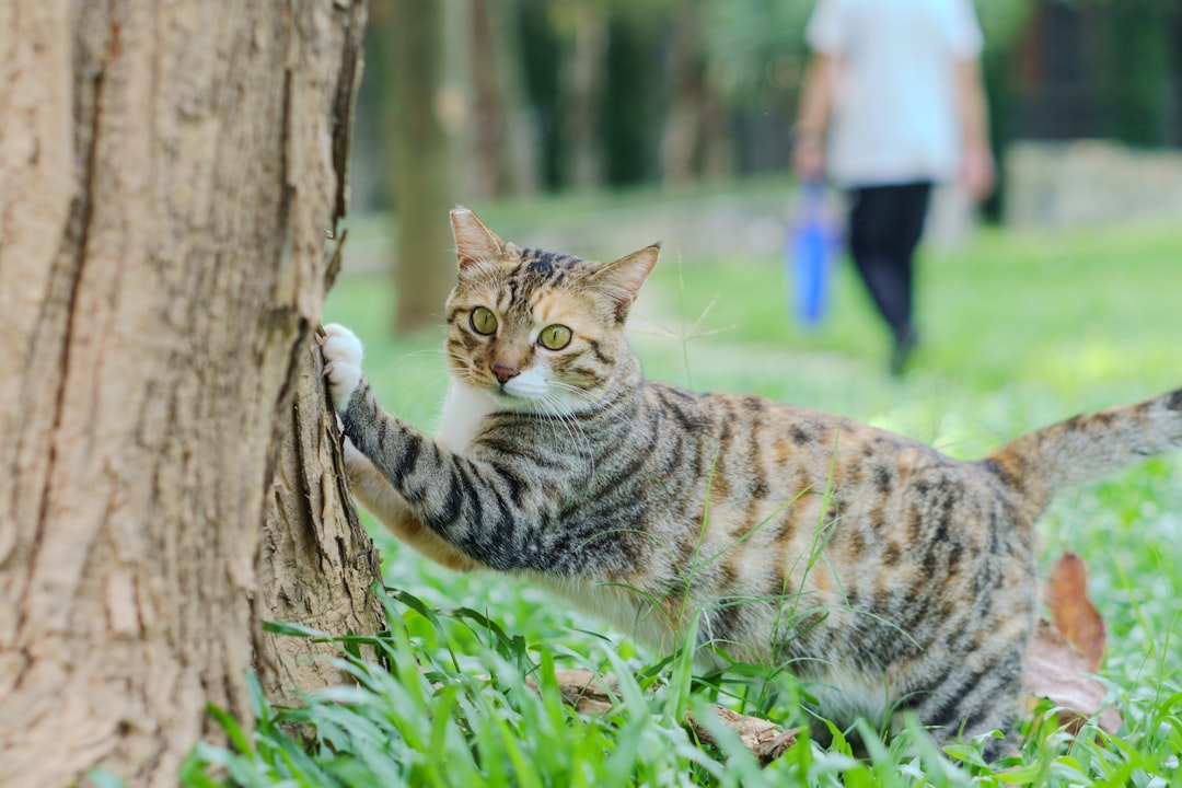 Alles over een jeukende hoofdhuid: oorzaken, oplossingen en tips